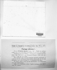 Image Associated With the Occurence